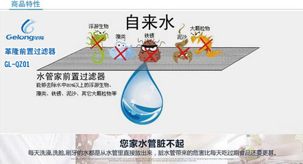 前置過濾器招商,前置過濾器功能,前置過濾 - 中國安裝信息網(www.zgazxxw.com) - 工業產品貿易領域內領先、活躍的交易市場