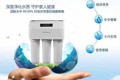 農(nóng)村凈水器加盟(圖)-項(xiàng)目網(wǎng)